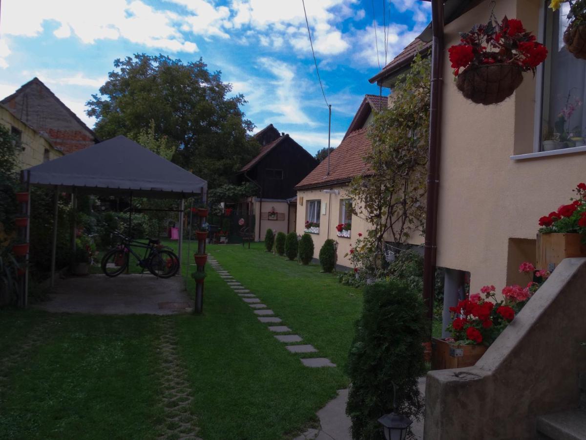 Casa Joy Villa Rîşnov Exteriör bild